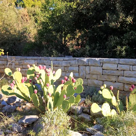 By The Sea Brna, Korcula - 4478