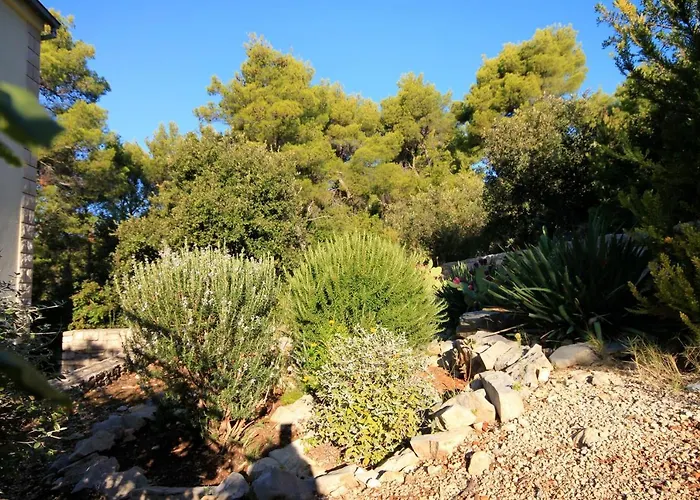 By The Sea Brna, Korcula - 4478 Смоквица