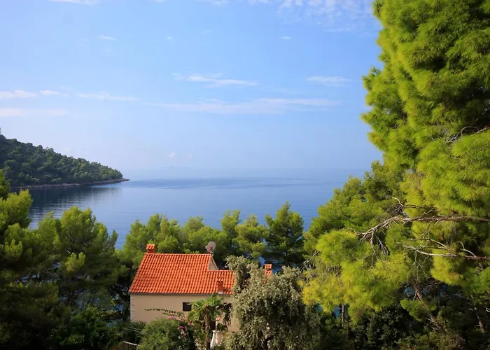 By The Sea Brna, Korcula - 4478 * Смоквица