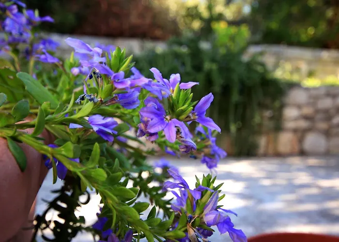 By The Sea Brna, Korcula - 4478 Апартаменты *