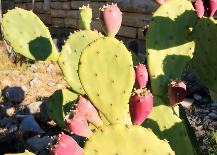 By The Sea Brna, Korcula - 4478